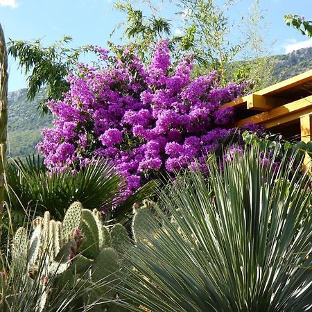 Villa Tropica, Total Privacy, Tropical Garden And Private Pool Kaštela 외부 사진