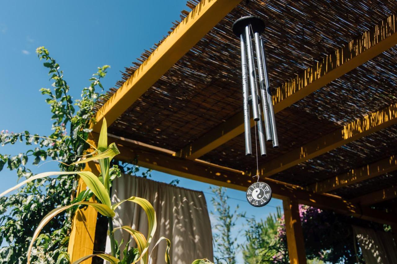 Villa Tropica, Total Privacy, Tropical Garden And Private Pool Kaštela 외부 사진
