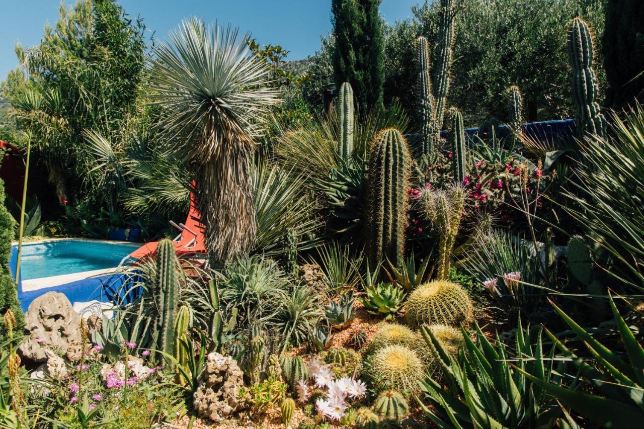 Villa Tropica, Total Privacy, Tropical Garden And Private Pool Kaštela 외부 사진