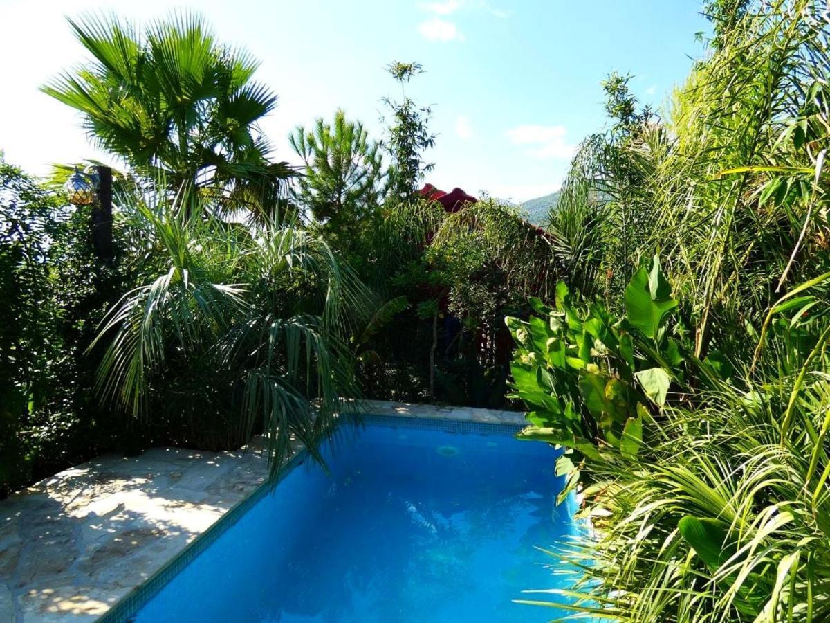 Villa Tropica, Total Privacy, Tropical Garden And Private Pool Kaštela 외부 사진