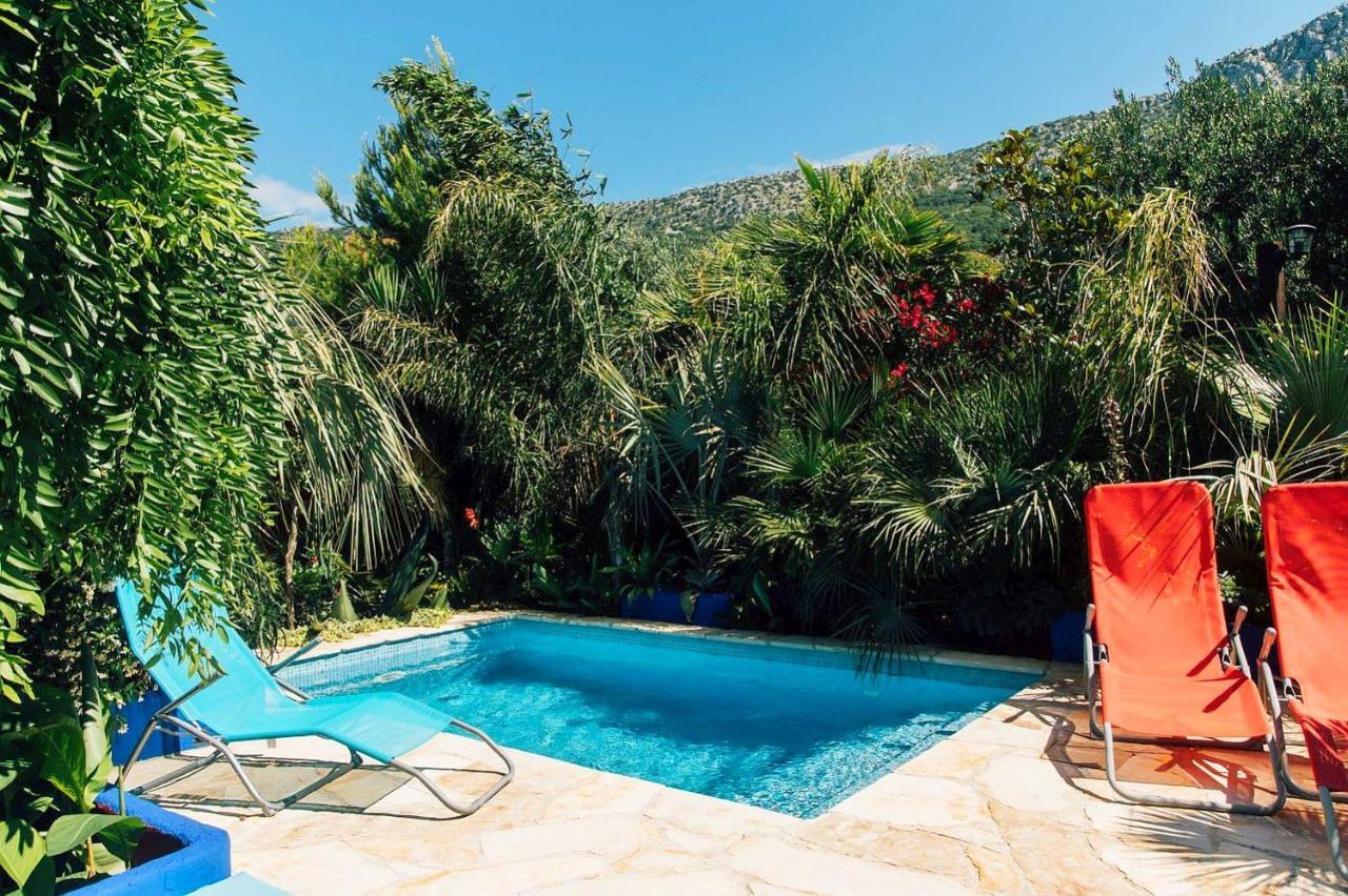 Villa Tropica, Total Privacy, Tropical Garden And Private Pool Kaštela 외부 사진