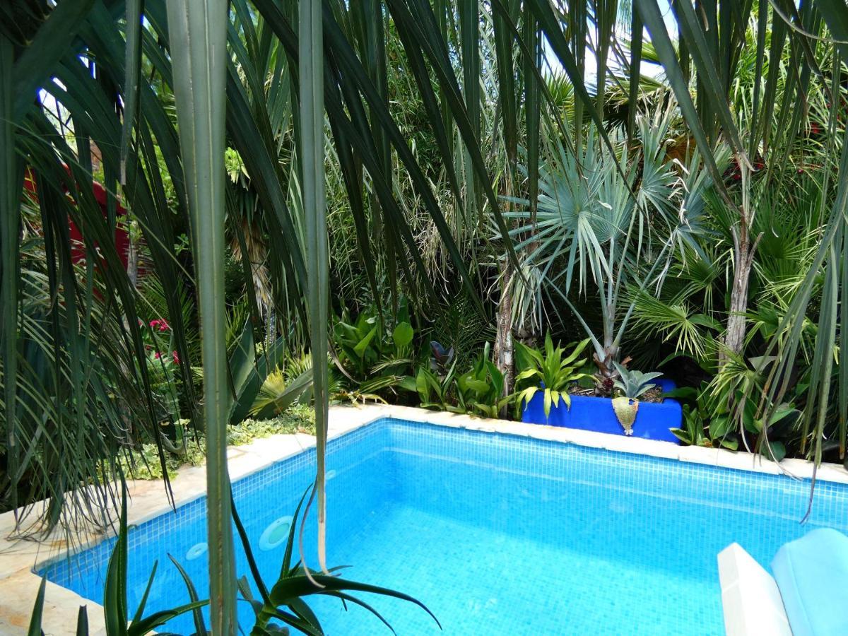 Villa Tropica, Total Privacy, Tropical Garden And Private Pool Kaštela 외부 사진