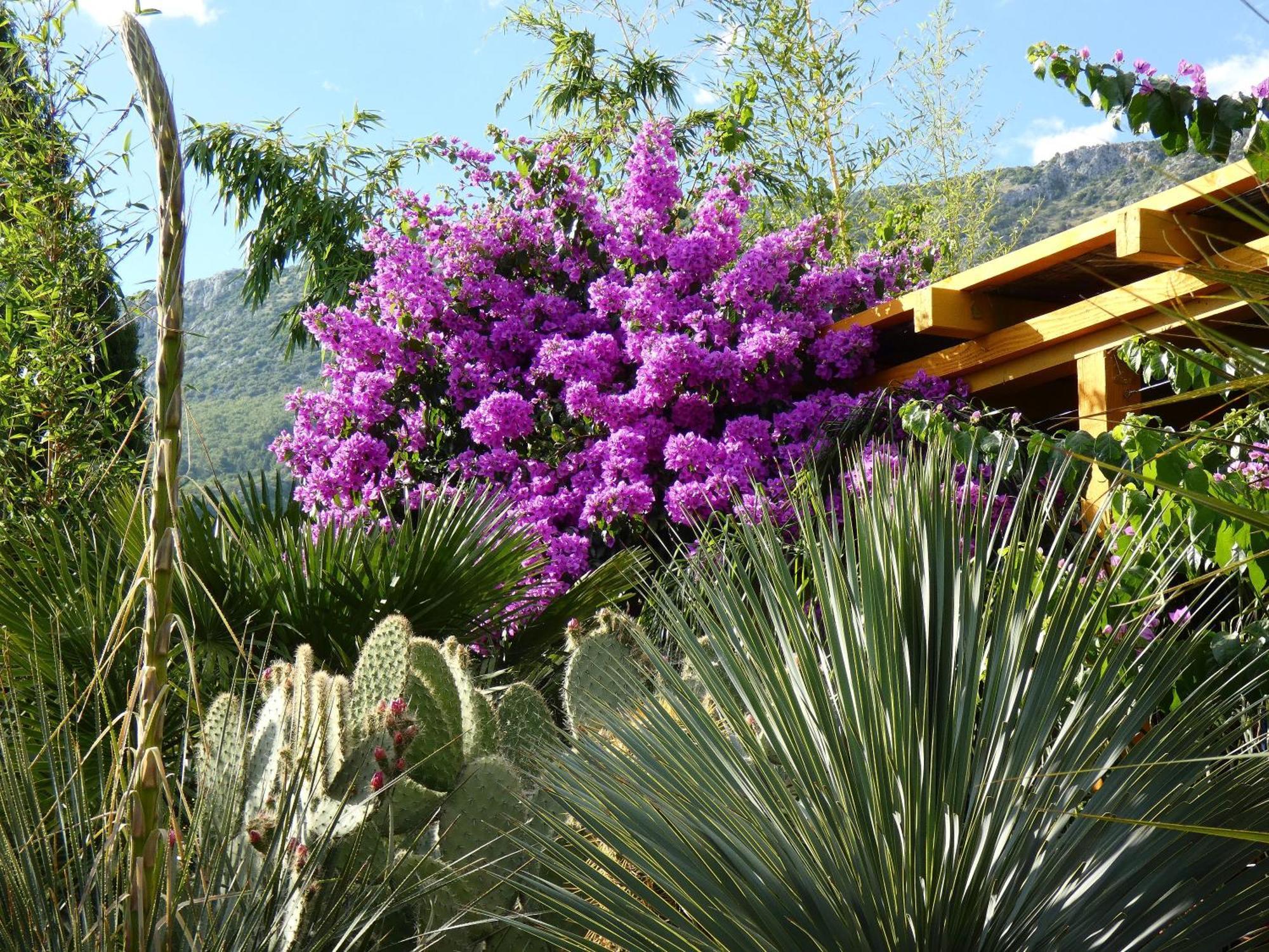 Villa Tropica, Total Privacy, Tropical Garden And Private Pool Kaštela 외부 사진
