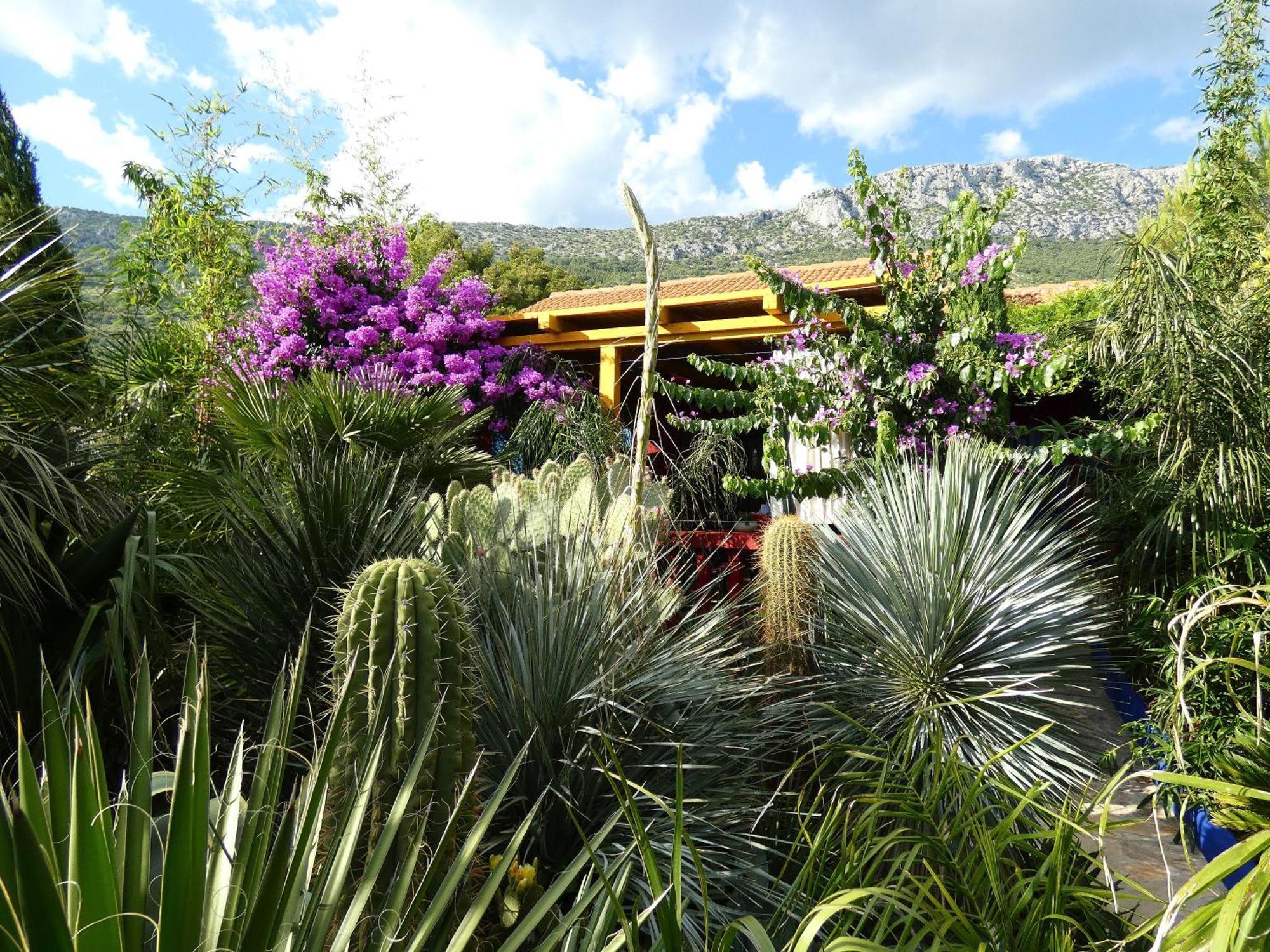 Villa Tropica, Total Privacy, Tropical Garden And Private Pool Kaštela 외부 사진