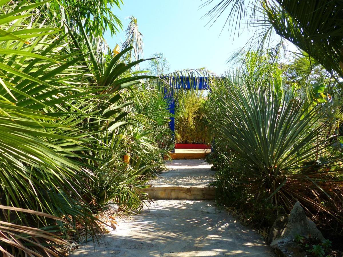 Villa Tropica, Total Privacy, Tropical Garden And Private Pool Kaštela 외부 사진
