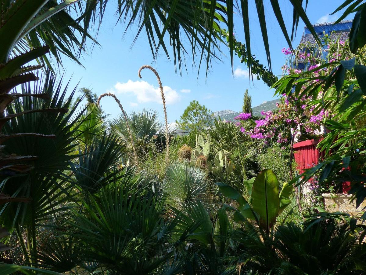 Villa Tropica, Total Privacy, Tropical Garden And Private Pool Kaštela 외부 사진