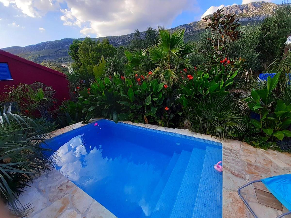 Villa Tropica, Total Privacy, Tropical Garden And Private Pool Kaštela 외부 사진